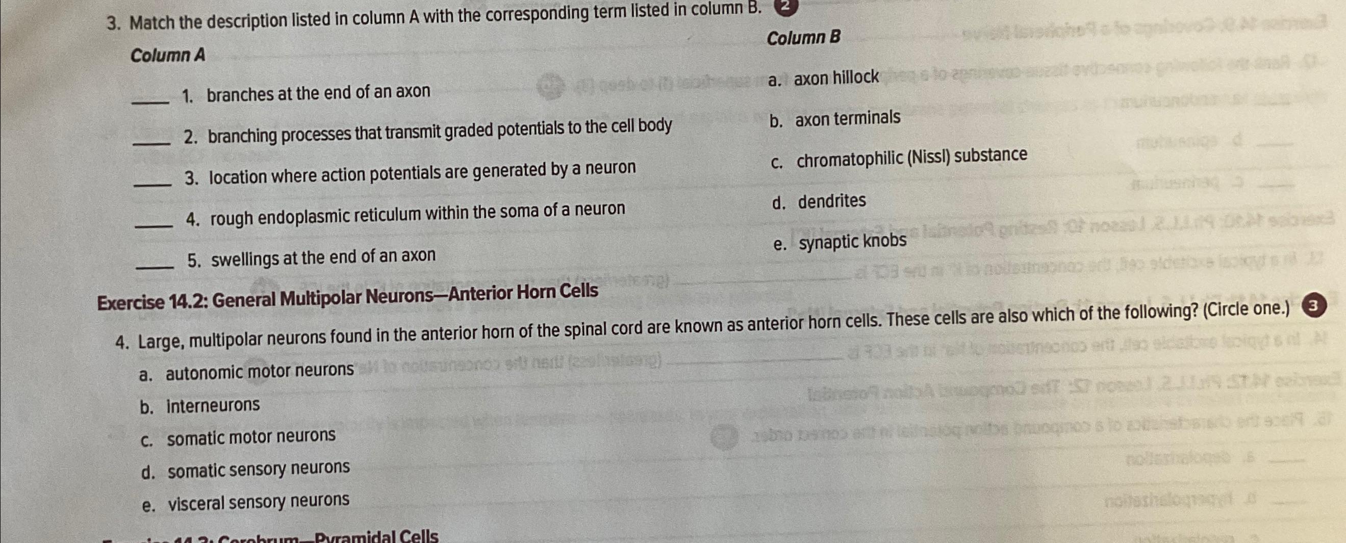 Solved Match the description listed in column A with the | Chegg.com