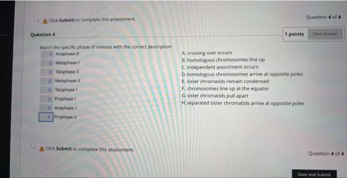 Solved Match the specific phase of meiosis with the correct | Chegg.com