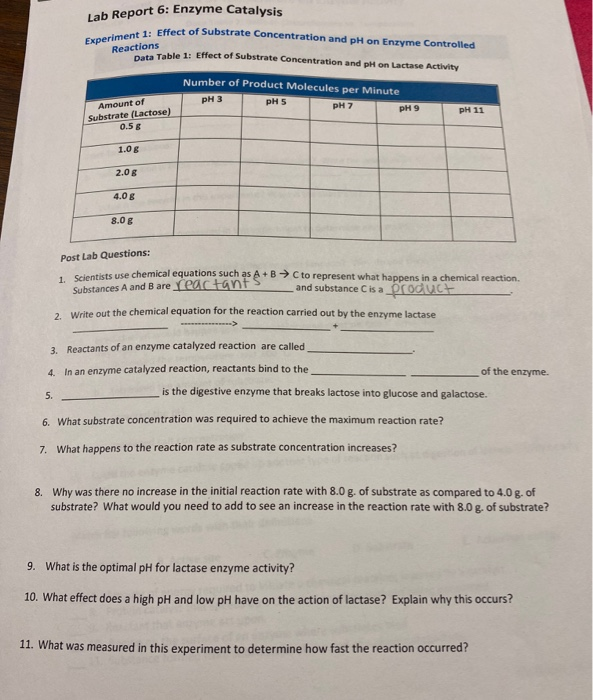 Solved Lab Report 6 Enzyme Catalysis Experiment 1 Effect