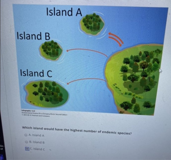 Solved Island A Island B Island C Which Island Would Have | Chegg.com