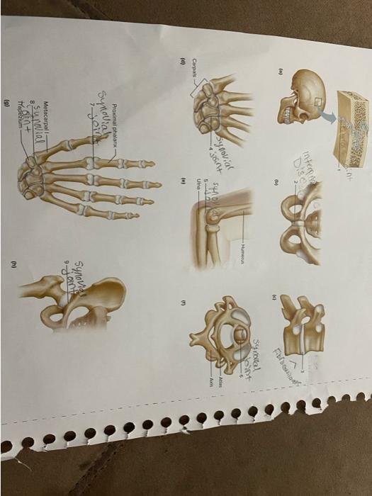 Solved PART B Assessments Identify the types of structural