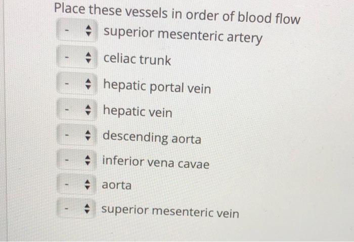 Solved Place these vessels in order of blood flow. 1. | Chegg.com