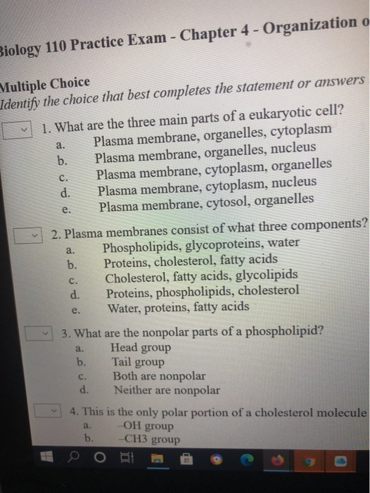 Solved Biology 110 Practice Exam - Chapter 4 - Organization | Chegg.com