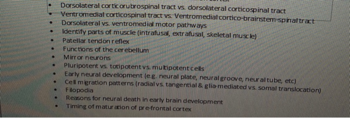 Solved Dorsolateral corticorubrospinal tract vs. | Chegg.com