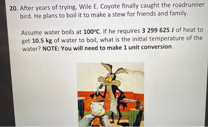 Here's How Wile E. Coyote Could Finally Catch the Roadrunner