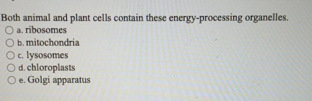 Solved Both Animal And Plant Cells Contain These Chegg
