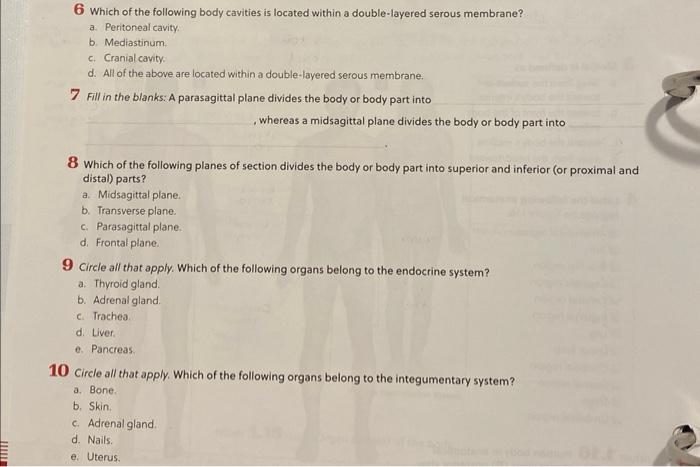 6 Which of the following body cavities is located within a double-layered serous membrane?
a. Peritoneal cavity.
b. Mediastin