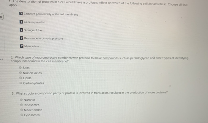 Solved 1 The denaturation of proteins in a cell would have a | Chegg.com