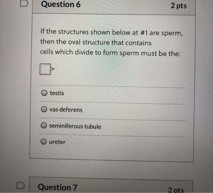 Solved Question 6 2 Pts If The Structures Shown Below At 1