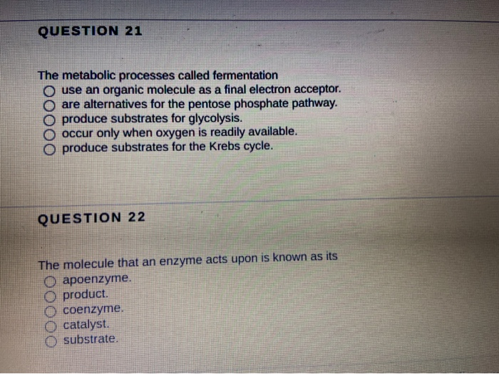 Solved Question 21 00000 The Metabolic Processes Called | Chegg.com Solved Question 21 00000 The Metabolic Processes Called | Chegg.com