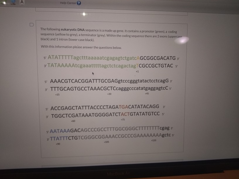 What would the sequence of the immature mRNA be? | Chegg.com