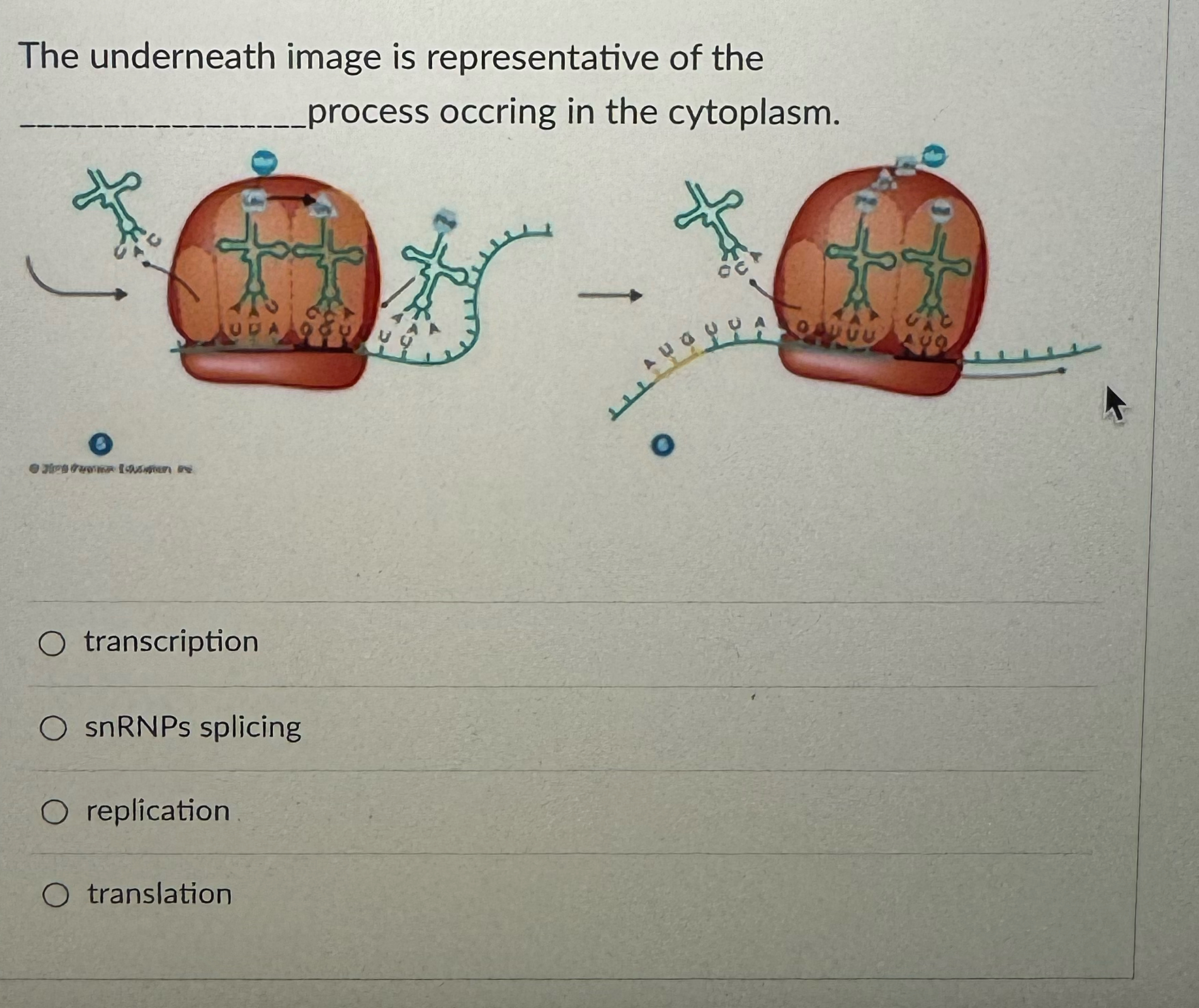 Solved The underneath image is representative of the process | Chegg.com