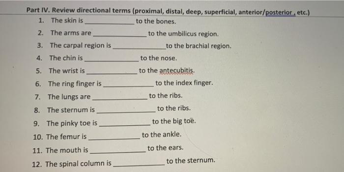 Solved Part IV. Review directional terms (proximal, distal, | Chegg.com