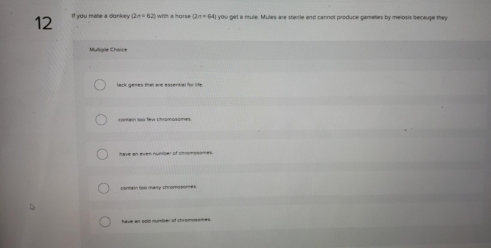 Solved If you mate a donkey (2n=62) with a horse (2n=64) you | Chegg.com