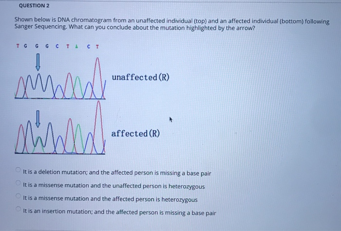 Solved QUESTION 1 In humans, which is the most frequent type | Chegg.com