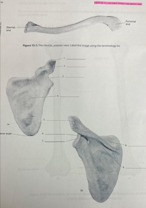 student submitted image, transcription available below