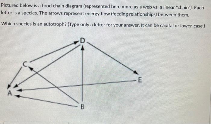 Solved Pictured below is a food chain diagram (represented | Chegg.com