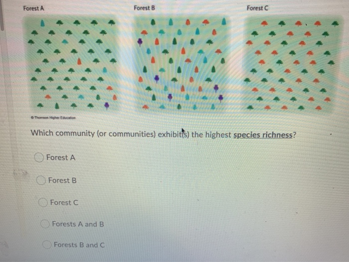 Solved Forest A Forest B Forest Thomson Higher Education | Chegg.com