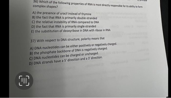 Solved 36) Which of the following properties of RNA is most | Chegg.com