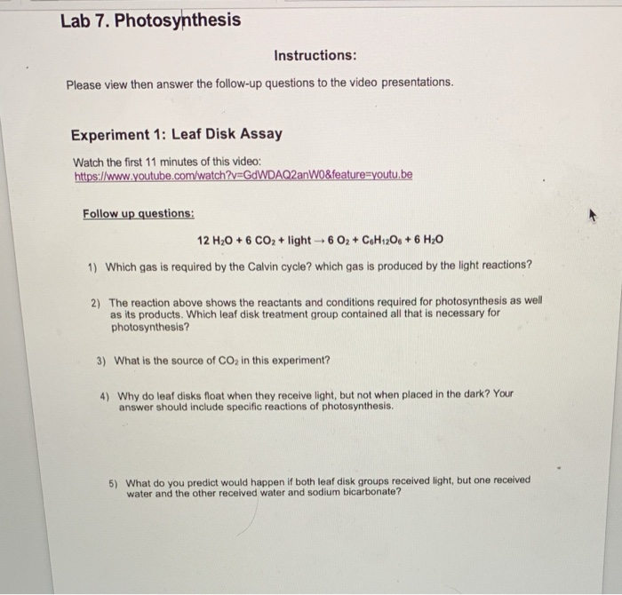 Solved Lab 7. Photosynthesis Instructions Please view then