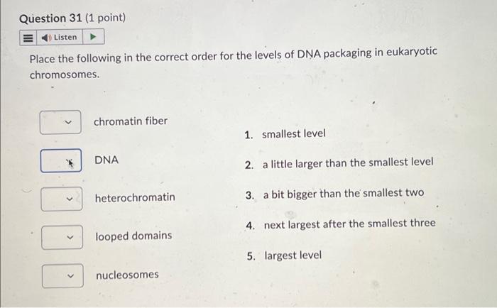 Solved Place The Following In The Correct Order For The | Chegg.com