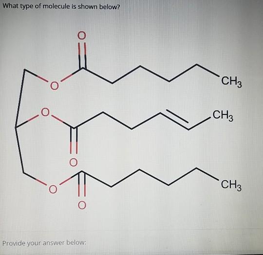 Solved What type of molecule is shown below? CH3 CH3 CH3 | Chegg.com