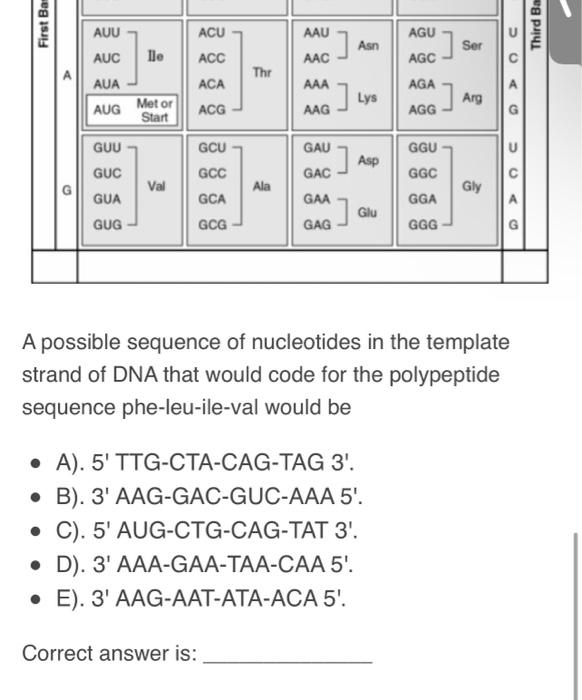 Solved Use The Following Table Of Genetic Codons Answer The Chegg Com