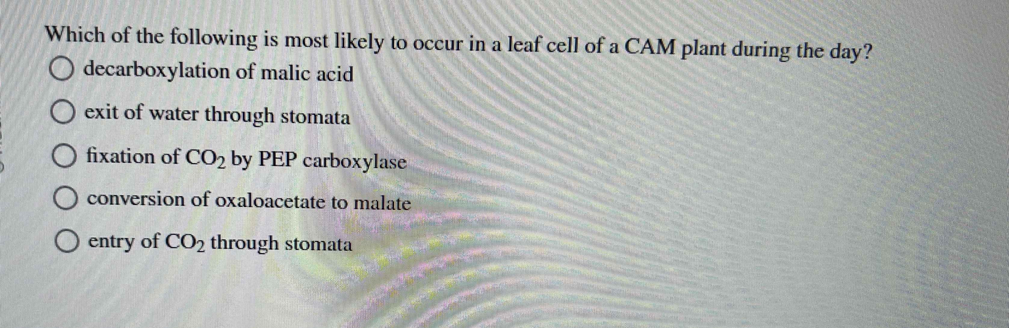 Solved Which of the following is most likely to occur in a | Chegg.com