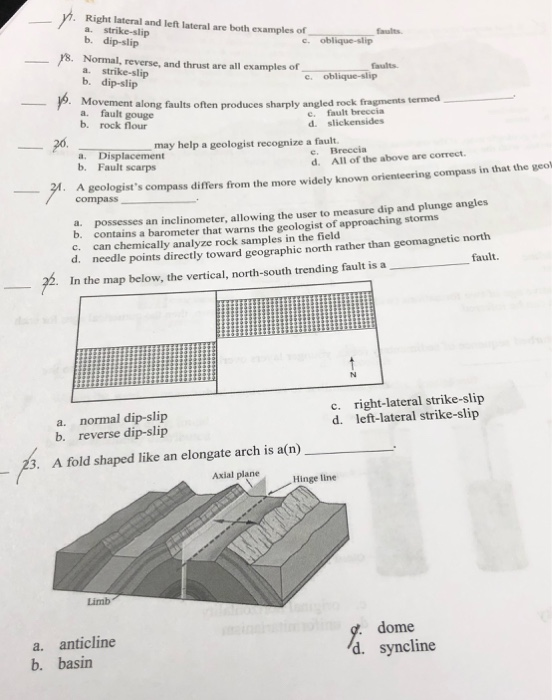 Right Lateral And Left Lateral Are Both Examples Of