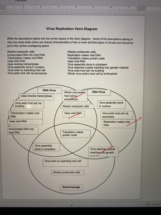 Solved Virus Replication Venn Diagram Write The Descriptions Chegg Com