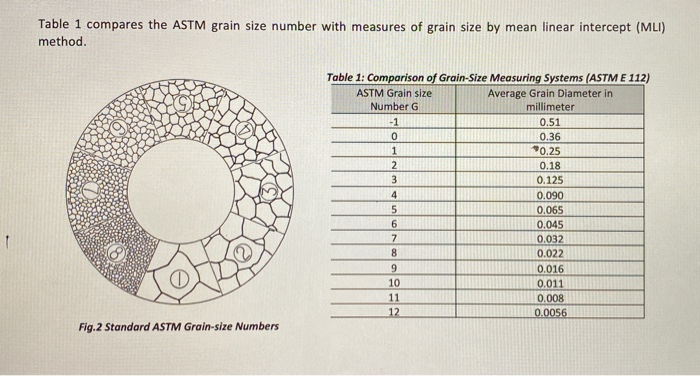 solved-q4-using-the-photomicrographs-of-your-lab-specimen-chegg