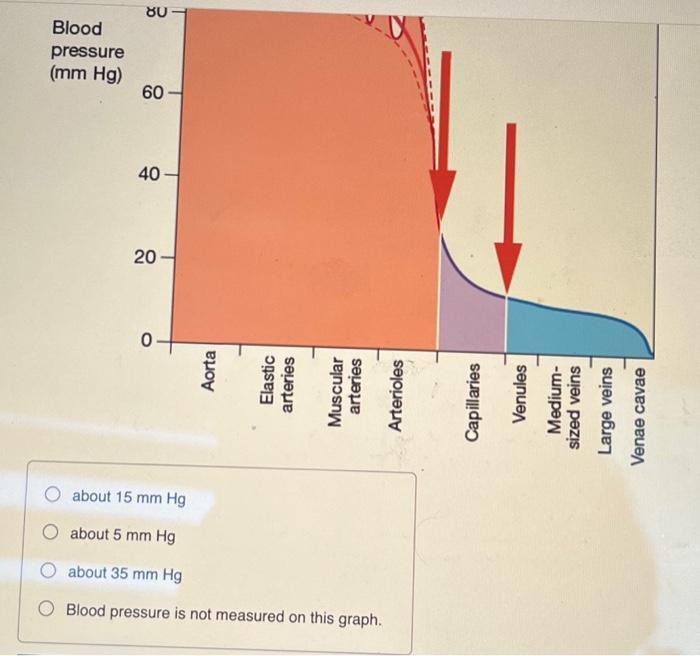 Blood deals pressure drop