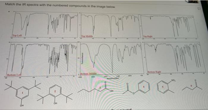 Solved Match the IR spectra with the numbered compounds in | Chegg.com