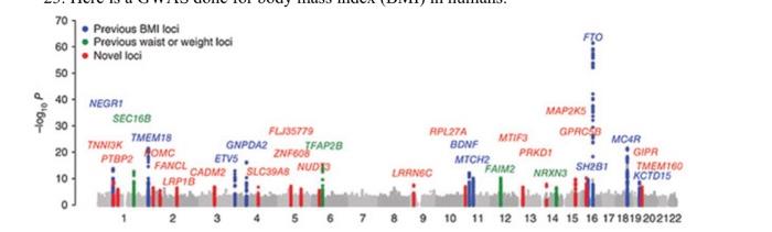 23 bmi