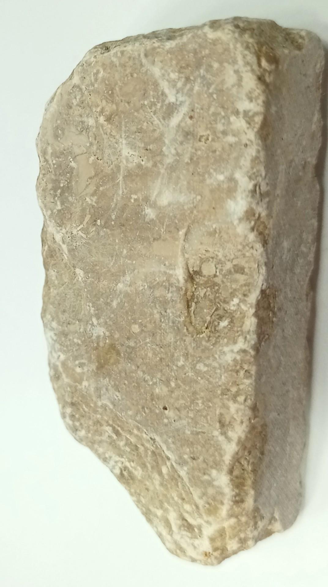 Solved Can you identify this rock a. texture-smooth | Chegg.com