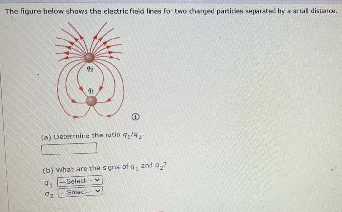 Solved The figure below shows the electric field lines for | Chegg.com