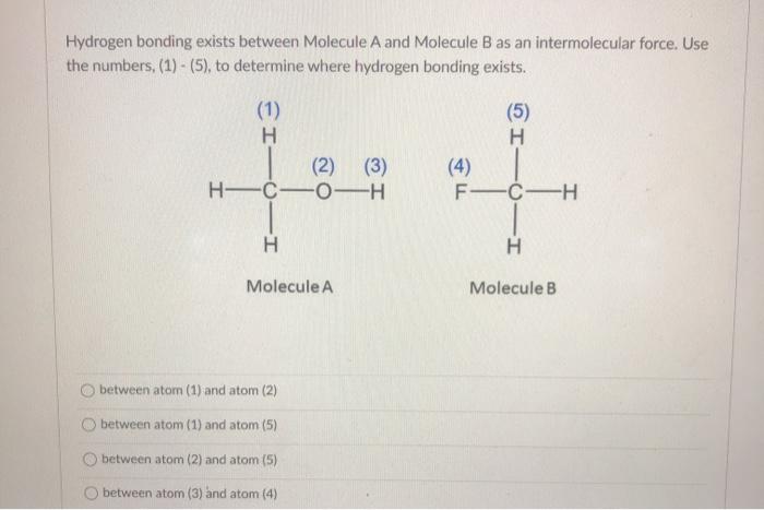 Solved Hydrogen bonding exists between Molecule A and | Chegg.com