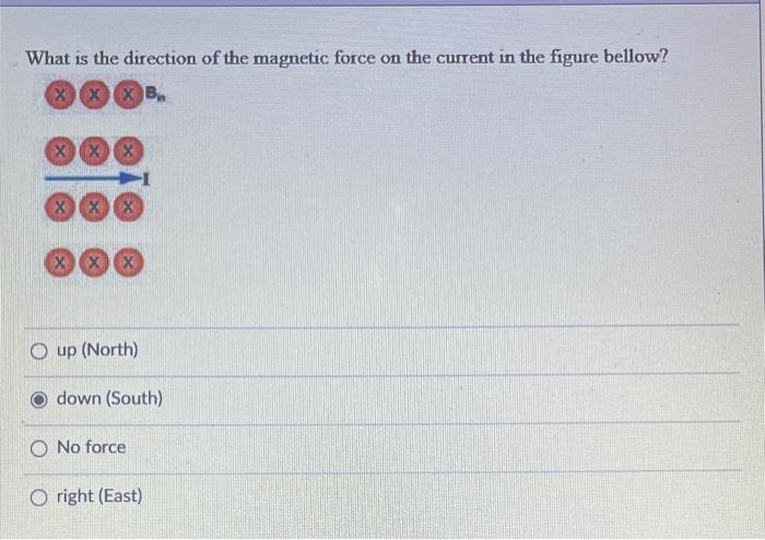 What is the direction of the magnetic force on the current in the figure bellow?
up (North)
down (South)
No force
right (East
