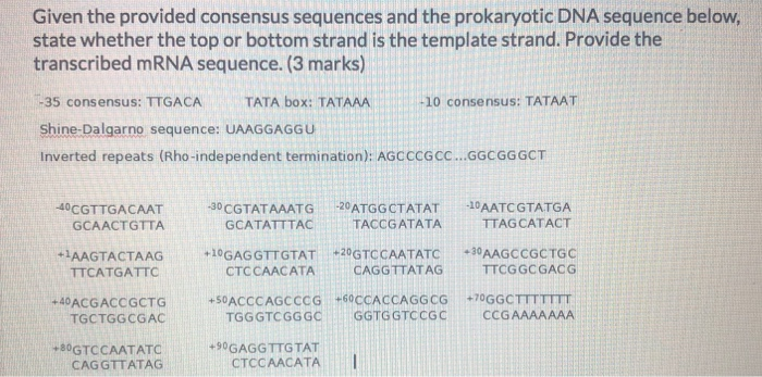 Solved 1. Given the provided mRNA sequence and the codon | Chegg.com
