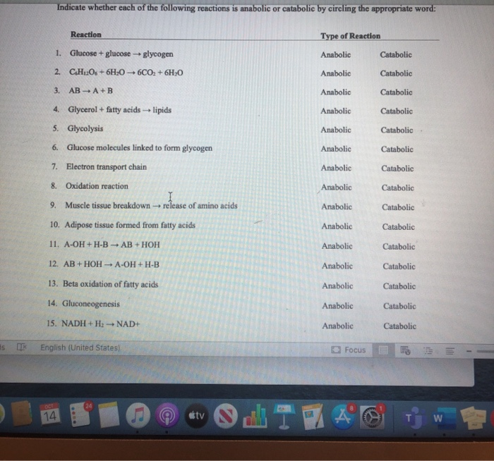 critical thinking questions about metabolism