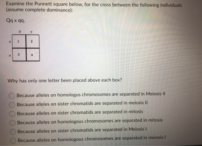 Solved Examine the Punnett square below, for the cross | Chegg.com