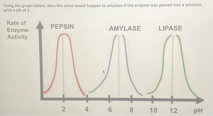 Solved Using The Graph Below, Describe What Would Happen To | Chegg.com