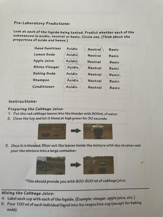 Solved Red Cabbage Lab Acids and Bases Introduction