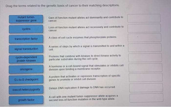 Solved Drag the terms related to the genetic basis of cancer 