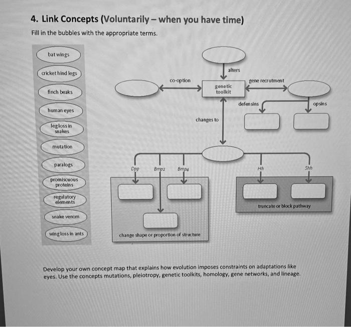 Solved 4 link concepts voluntarily when you have time chegg