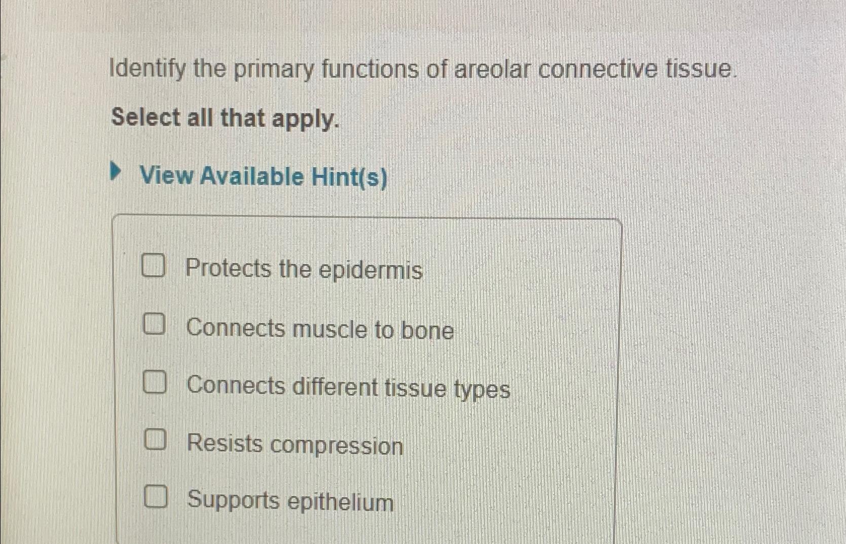 Solved Identify the primary functions of areolar connective