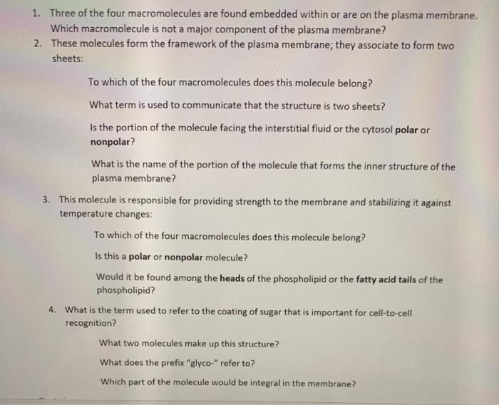 solved-1-three-of-the-four-macromolecules-are-found-chegg