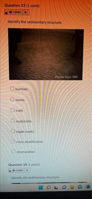 Question 13 (1 point)
40 Listen
Identify the sedimentary structure.
O burrows
tracks
Otrails
Pamela Gore 1985
mudcracks
Oripp