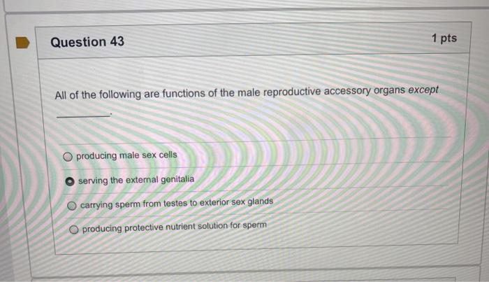 Solved Question 34 Nitrogenous waste in the blood is the | Chegg.com