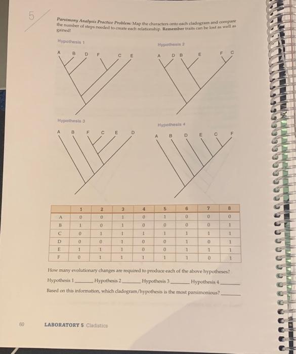 Solved Cladogram Construction Practice Problem: | Chegg.com